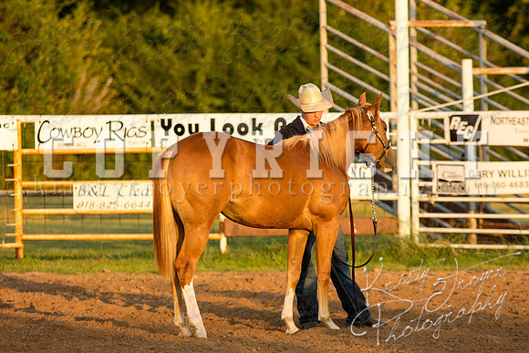 mayescountyfair_horseshow_©KTroyerPhoto-3475