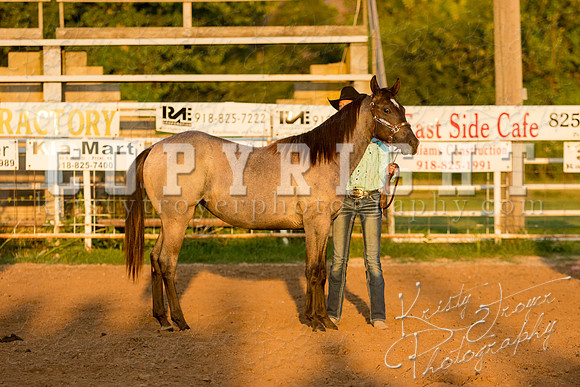 mayescountyfair_horseshow_©KTroyerPhoto-3477