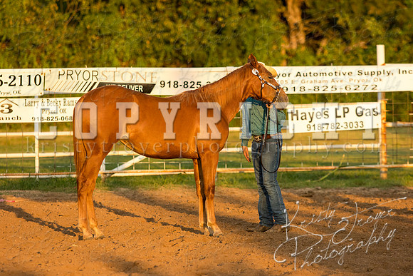mayescountyfair_horseshow_©KTroyerPhoto-3476