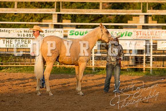 mayescountyfair_horseshow_©KTroyerPhoto-3478