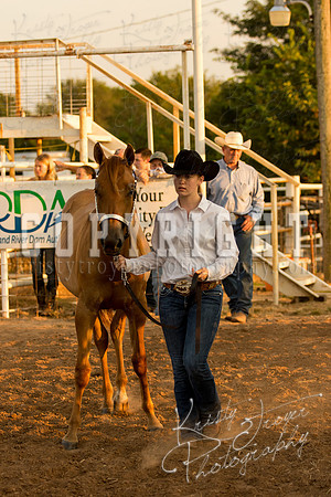 mayescountyfair_horseshow_©KTroyerPhoto-3480