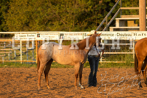 mayescountyfair_horseshow_©KTroyerPhoto-3482