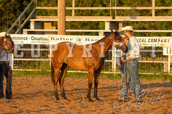 mayescountyfair_horseshow_©KTroyerPhoto-3483