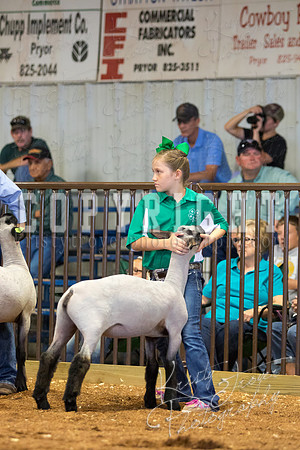 MAYES_COUNTY_FAIR_SHEEP-2933
