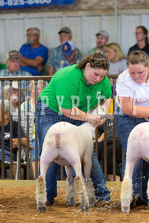 MAYES_COUNTY_FAIR_SHEEP-2840