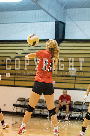 salina_vs_locustgrove_volleyball_©KTROYERPHOTO-8775