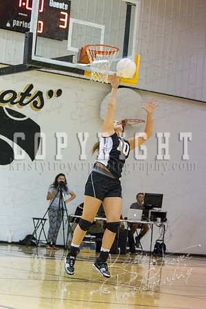 salina_vs_summittchristian_volleyball_©KTROYERPHOTO-9615