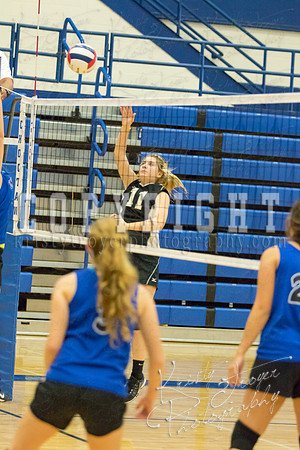 salina_vs_unioncity_volleyball_©KTROYERPHOTO-0612