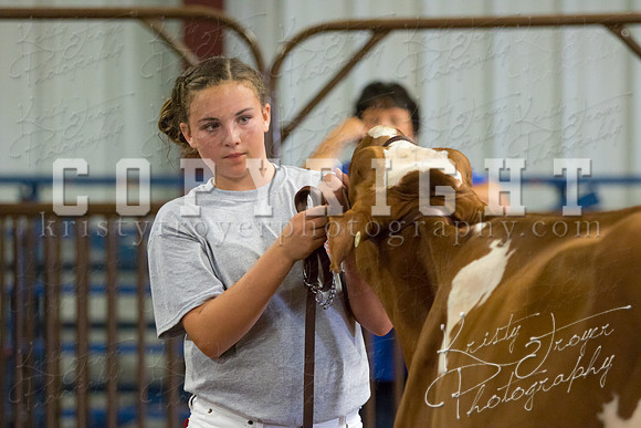 MAYES_COUNTY_FAIR_DAIRY-3337