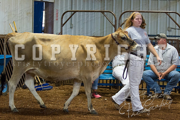 MAYES_COUNTY_FAIR_DAIRY-3384