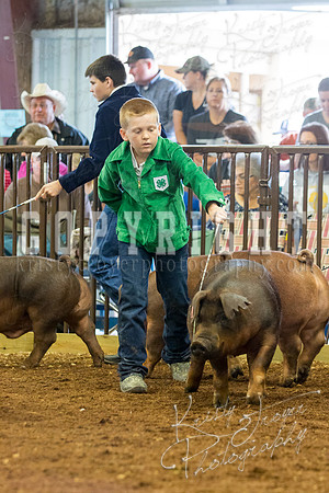 MAYES_COUNTY_FAIR_Swine-9501