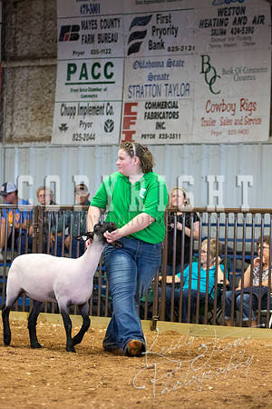 MAYES_COUNTY_FAIR_SHEEP-3106