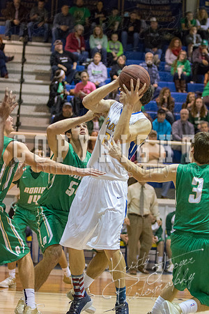 CHOUTEAU_VS_ADAIR_BASKETBALL_©KTROYERPHOTO-7080