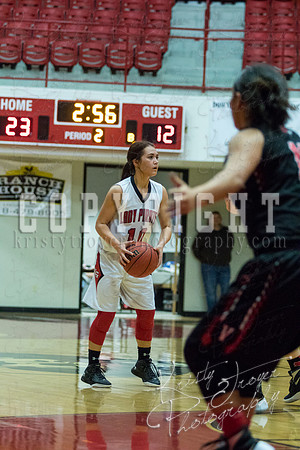 locustgrove_vs_verdigris_basketball_©KTROYERPHOTO-8599