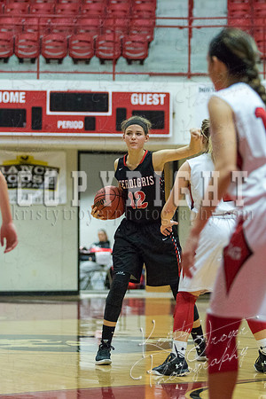 locustgrove_vs_verdigris_basketball_©KTROYERPHOTO-8677