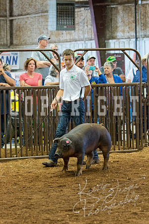 MAYES_COUNTY_FAIR_Swine-9507