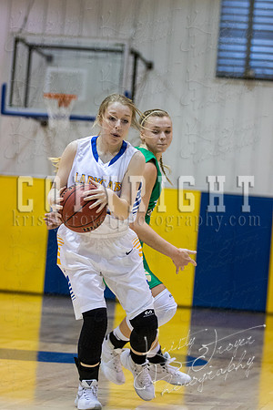 CHOUTEAU_VS_ADAIR_BASKETBALL_©KTROYERPHOTO-6950