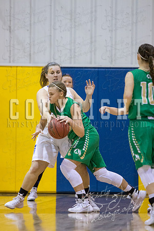 CHOUTEAU_VS_ADAIR_BASKETBALL_©KTROYERPHOTO-6927