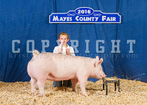 Mayes_County_Fair_Backdrop-0528