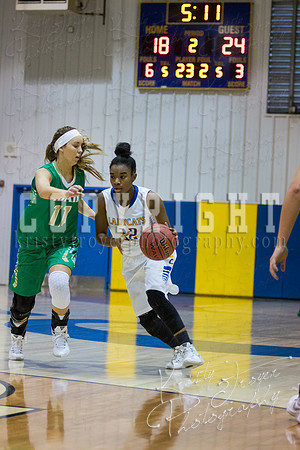 CHOUTEAU_VS_ADAIR_BASKETBALL_©KTROYERPHOTO-6942