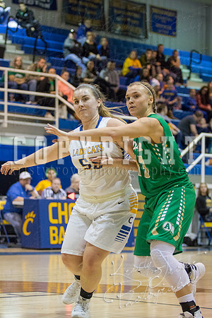 CHOUTEAU_VS_ADAIR_BASKETBALL_©KTROYERPHOTO-6999