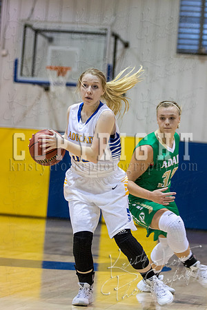CHOUTEAU_VS_ADAIR_BASKETBALL_©KTROYERPHOTO-6951