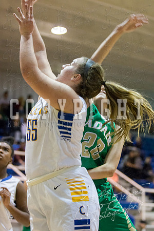 CHOUTEAU_VS_ADAIR_BASKETBALL_©KTROYERPHOTO-6957