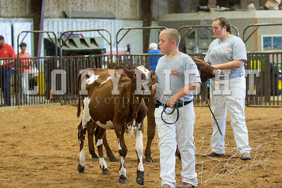 MAYES_COUNTY_FAIR_DAIRY-3393