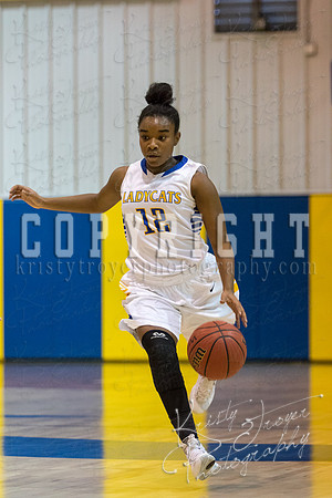 CHOUTEAU_VS_ADAIR_BASKETBALL_©KTROYERPHOTO-6965
