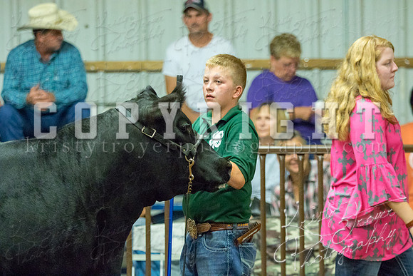 MAYES_COUNTY_FAIR_heifer-4131