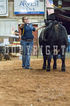 MAYES_COUNTY_FAIR_heifer-4211