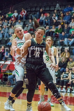 salina_vs_chelsea_basketball_©KTROYERPHOTO-8848