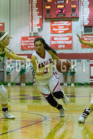 Adair_vs_Kanas_basketball_©KTROYERPHOTO-5544