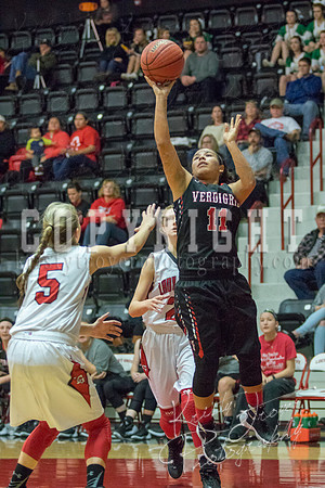locustgrove_vs_verdigris_basketball_©KTROYERPHOTO-8660