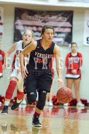 locustgrove_vs_verdigris_basketball_©KTROYERPHOTO-8669