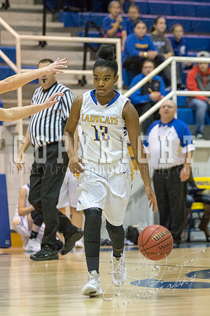 CHOUTEAU_VS_ADAIR_BASKETBALL_©KTROYERPHOTO-6914