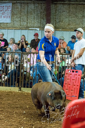 MAYES_COUNTY_FAIR_Swine-9498