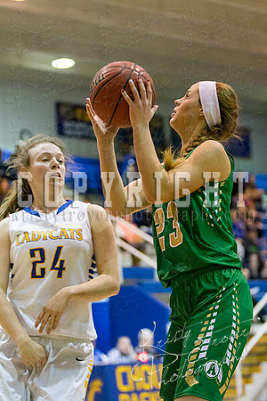 CHOUTEAU_VS_ADAIR_BASKETBALL_©KTROYERPHOTO-6974