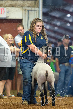 MAYES_COUNTY_FAIR_SHEEP-3118