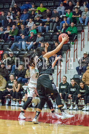 salina_vs_chelsea_basketball_©KTROYERPHOTO-8838