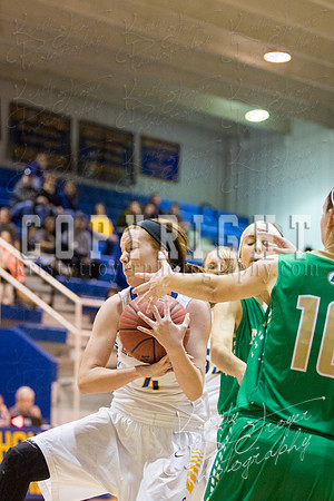 CHOUTEAU_VS_ADAIR_BASKETBALL_©KTROYERPHOTO-6991