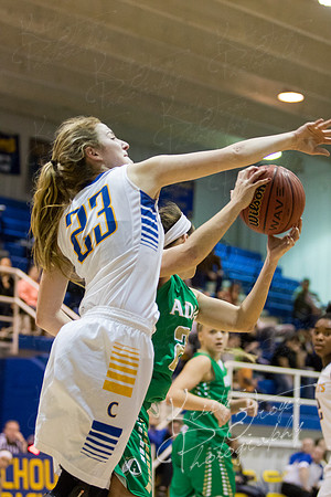 CHOUTEAU_VS_ADAIR_BASKETBALL_©KTROYERPHOTO-7033
