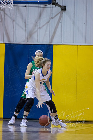 CHOUTEAU_VS_ADAIR_BASKETBALL_©KTROYERPHOTO-6975