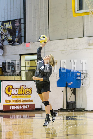 SALINA_VS_WESTVILLE_VOLLEYBALL-0368
