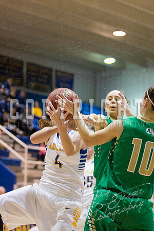 CHOUTEAU_VS_ADAIR_BASKETBALL_©KTROYERPHOTO-6990