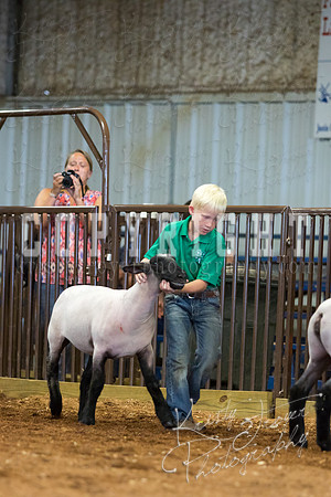 MAYES_COUNTY_FAIR_SHEEP-3115