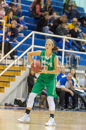 CHOUTEAU_VS_ADAIR_BASKETBALL_©KTROYERPHOTO-6984