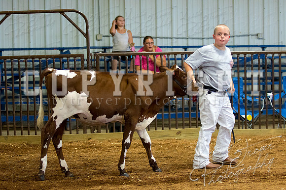 MAYES_COUNTY_FAIR_DAIRY-3413