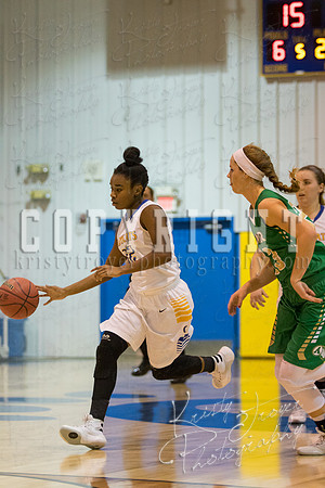 CHOUTEAU_VS_ADAIR_BASKETBALL_©KTROYERPHOTO-6930