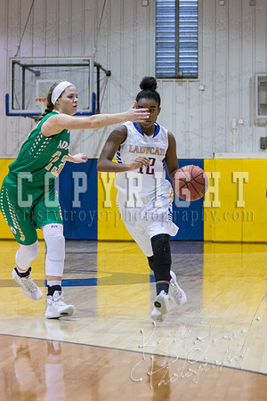 CHOUTEAU_VS_ADAIR_BASKETBALL_©KTROYERPHOTO-6933